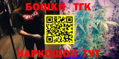 дживик Пенза